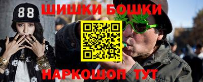 apvp Партизанск