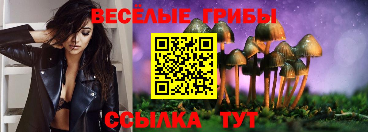 Галлюциногенные грибы ЛСД  Вход с VPN  Партизанск  Псилоцибиновые грибы Cubensis 